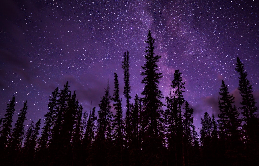 Ask the Stars: Unlocking the Mysteries of the Universe
